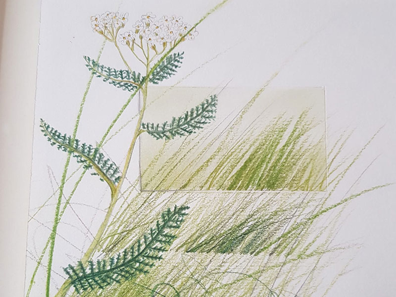 Ausstellung Inge Kerschbaumer-Palacz