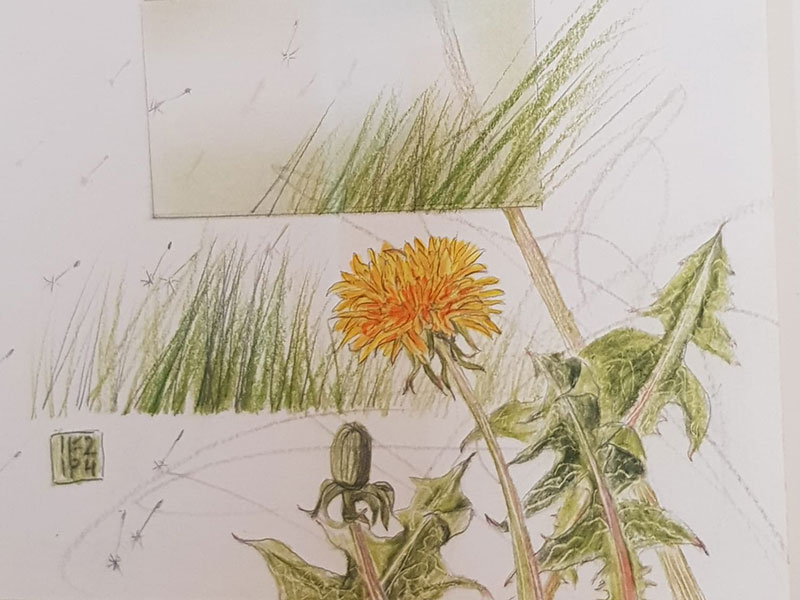 Ausstellung Inge Kerschbaumer-Palacz