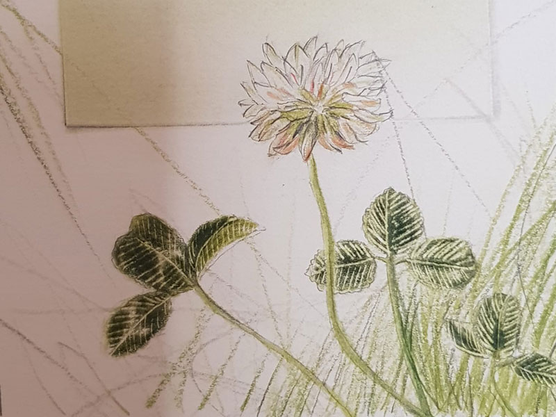 Ausstellung Inge Kerschbaumer-Palacz