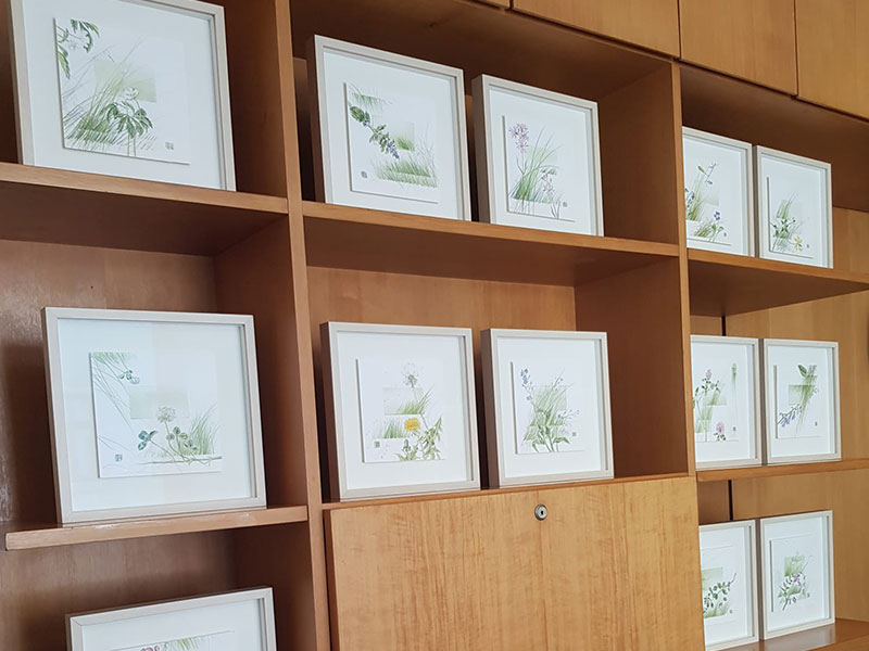 Ausstellung Inge Kerschbaumer-Palacz