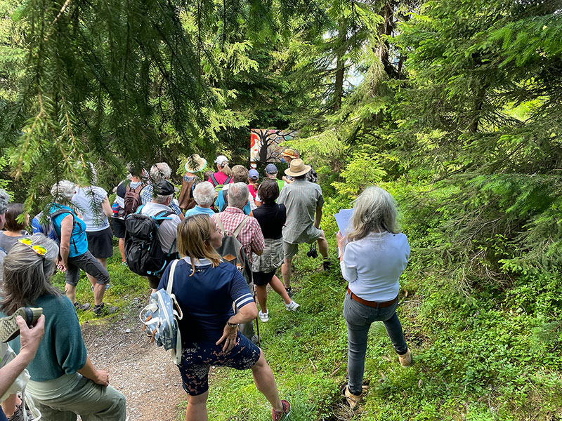 KunstWanderWeg ´journey´ by Adriana Franza