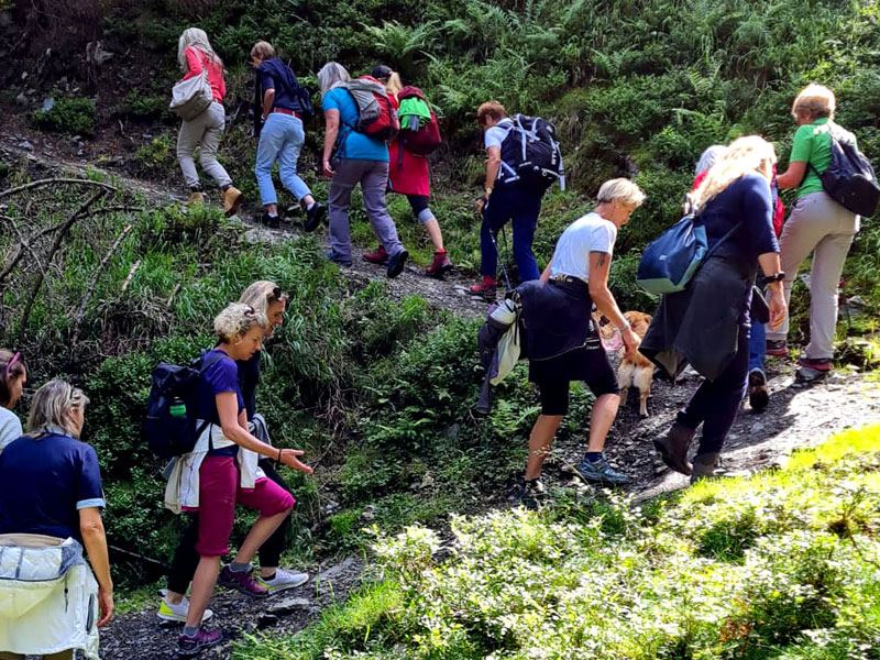 KunstWanderWeg ´journey´ by Adriana Franza